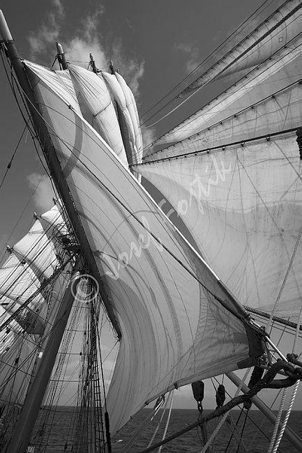 IMG0117465_BW.tif