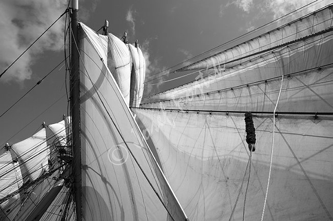 IMG0117467_BW.tif