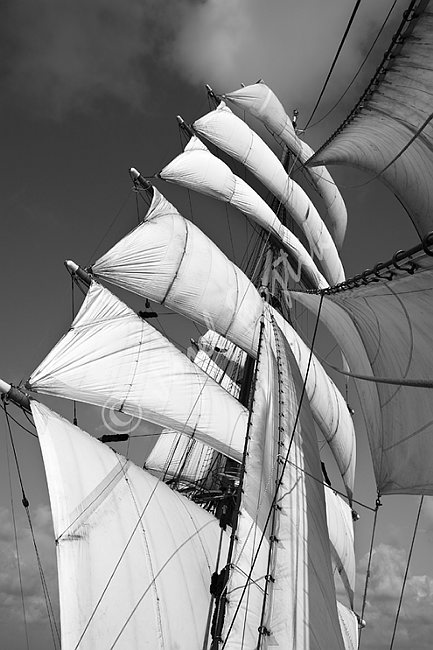IMG0117541_BW.tif