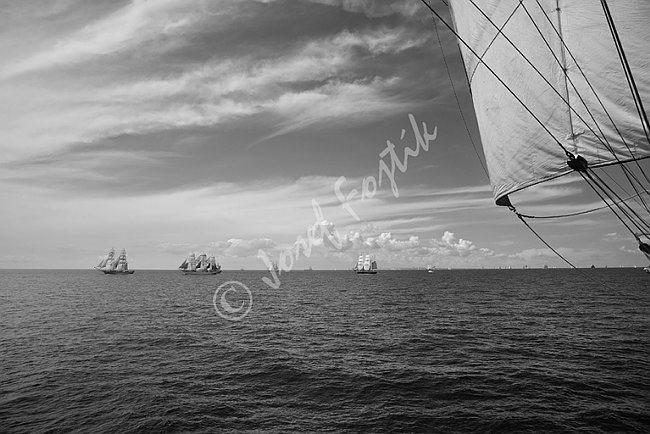 IMG0102496_BW.tif