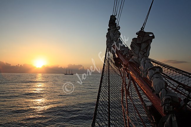 IMG0117976.tif
