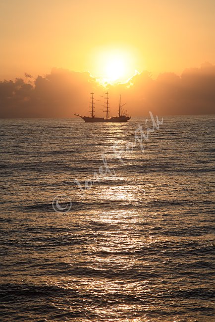 IMG0117992.tif