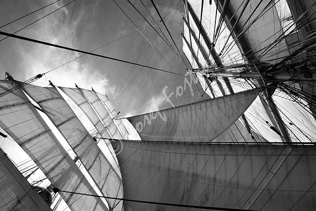 IMG0102505_BW.tif
