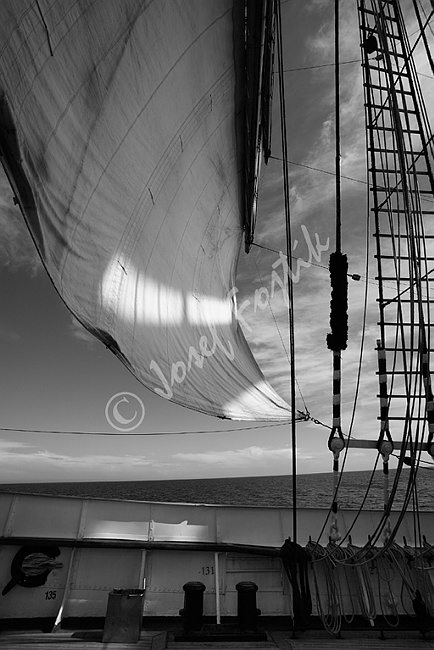 IMG0102510_BW.tif