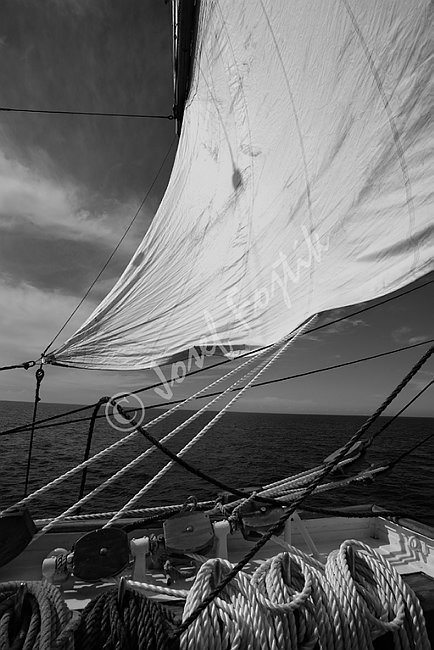 IMG0102528_BW.tif