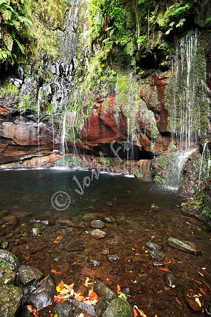 IMG0120747.tif