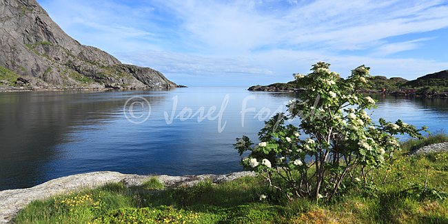 PSD0143283_PAN.tif