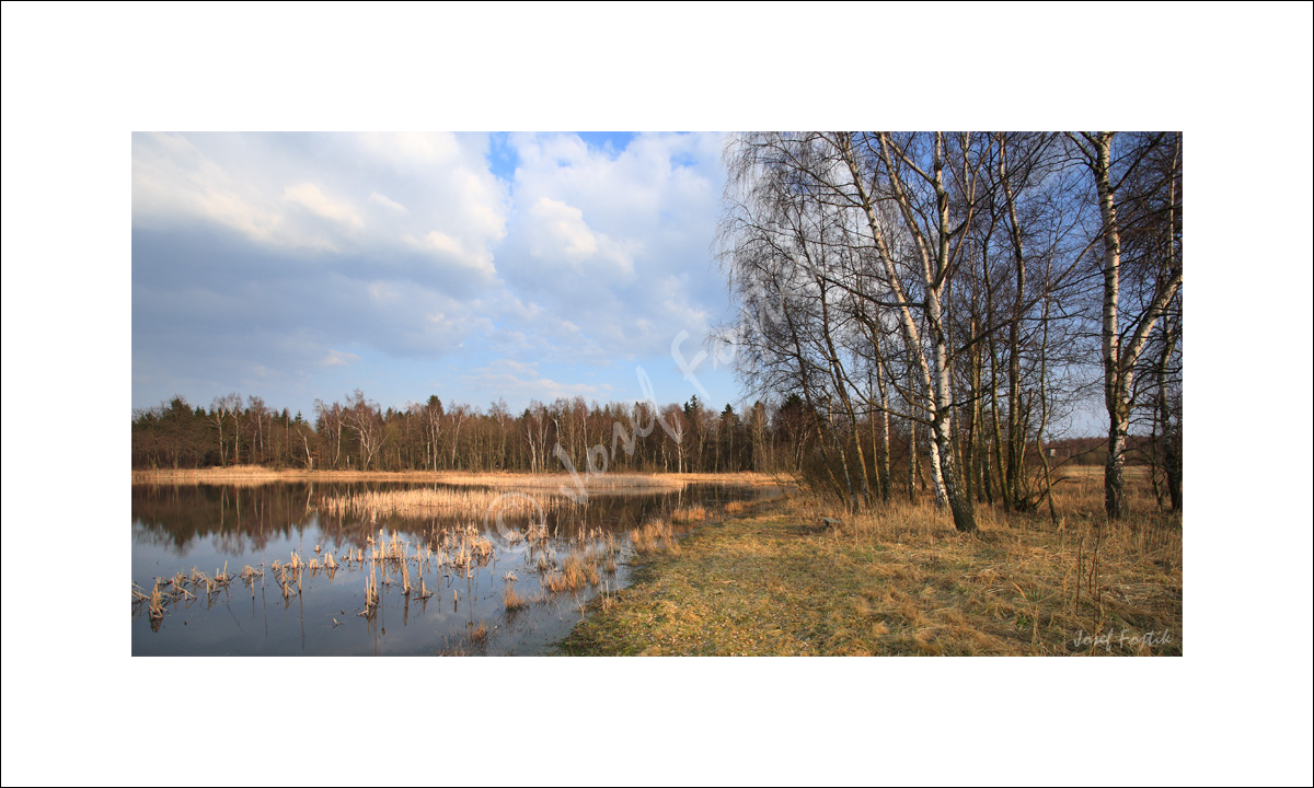 IMG0123735_PAN_2.jpg