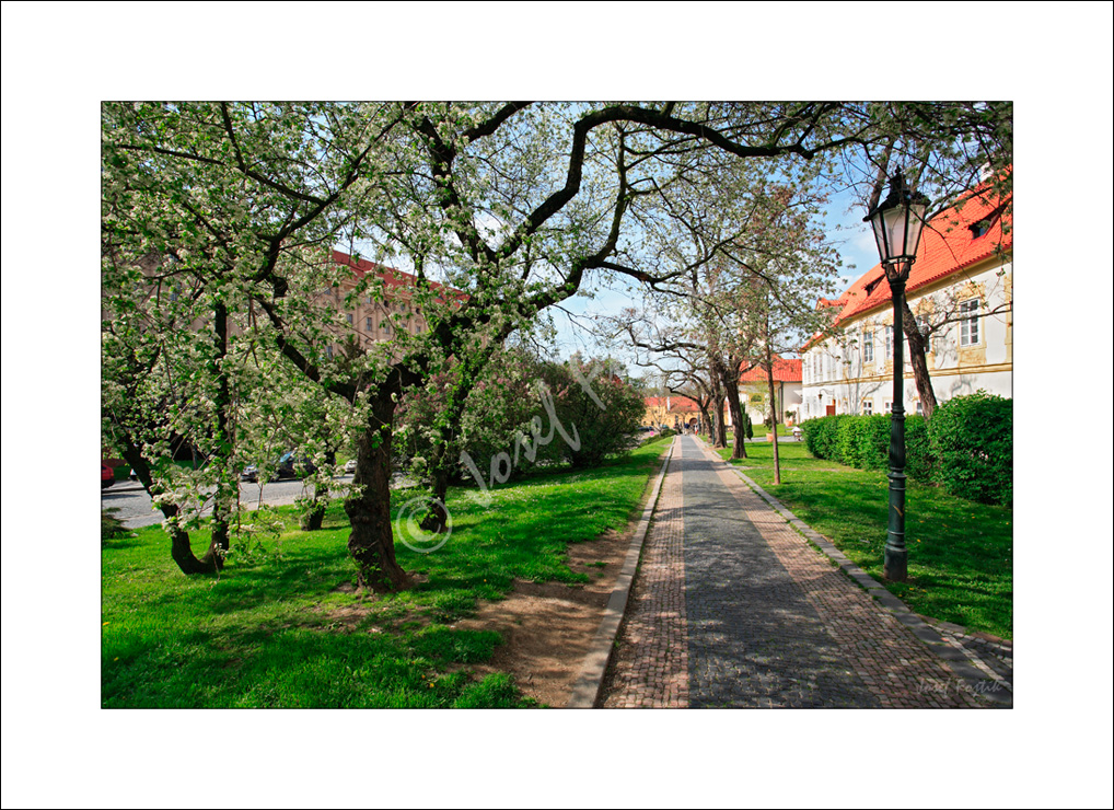 PSD0109124.jpg