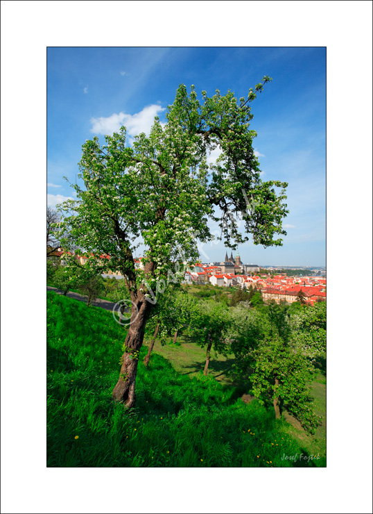 PSD0109131.jpg