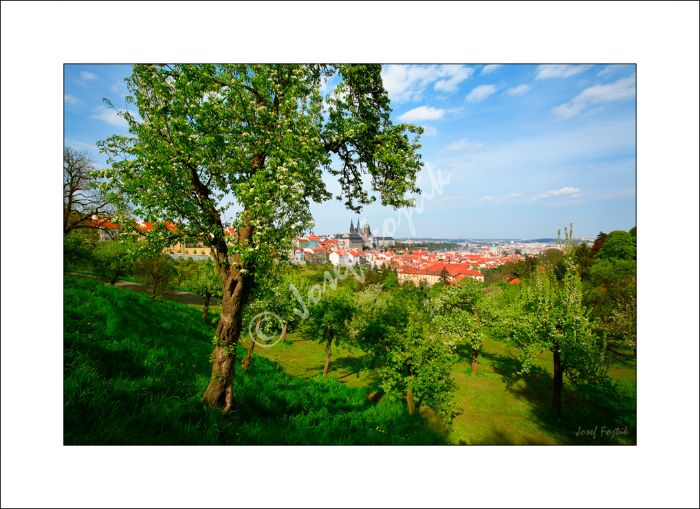 PSD0109138.jpg