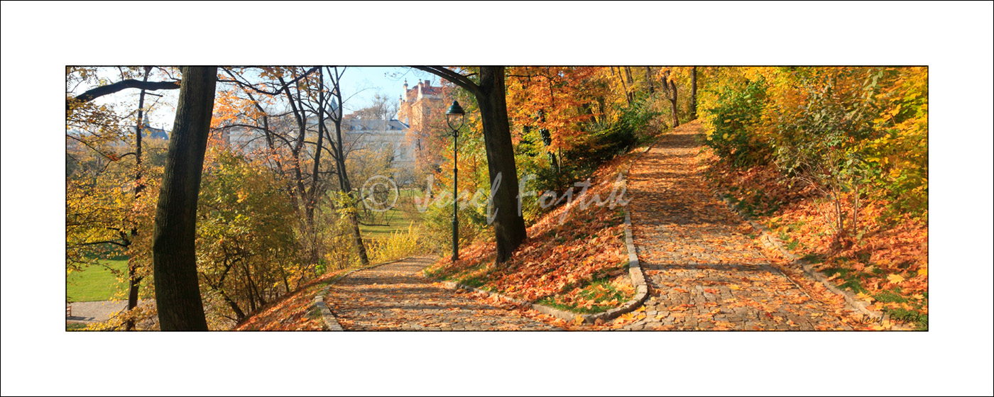 PSD0153513_pan_325.jpg