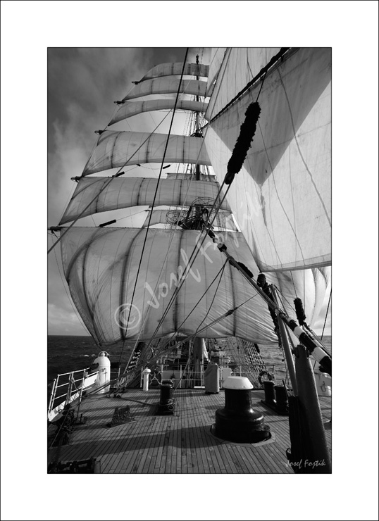 PSD0102556_BW.jpg