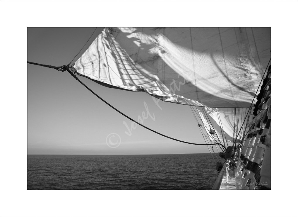 PSD0116007_BW.jpg