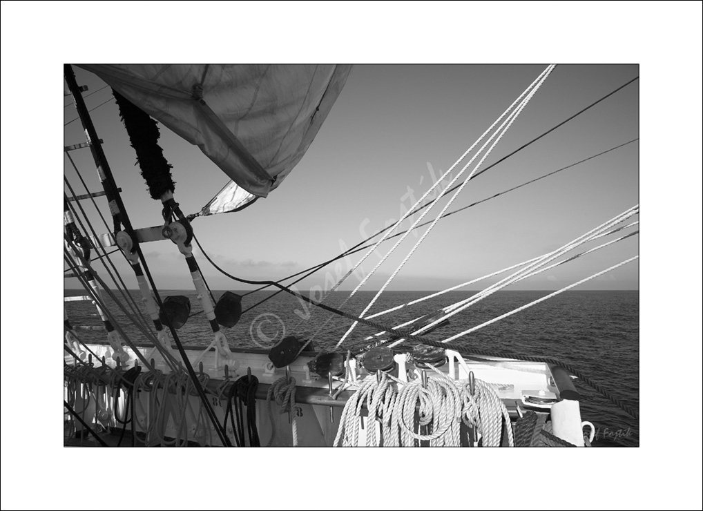 PSD0116009_BW.jpg