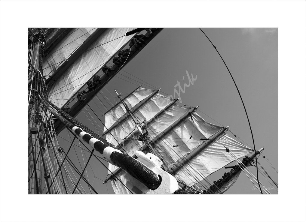 PSD0116033_BW.jpg