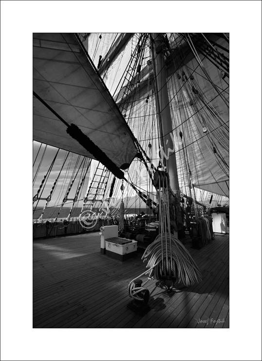 PSD0102536_BW.jpg