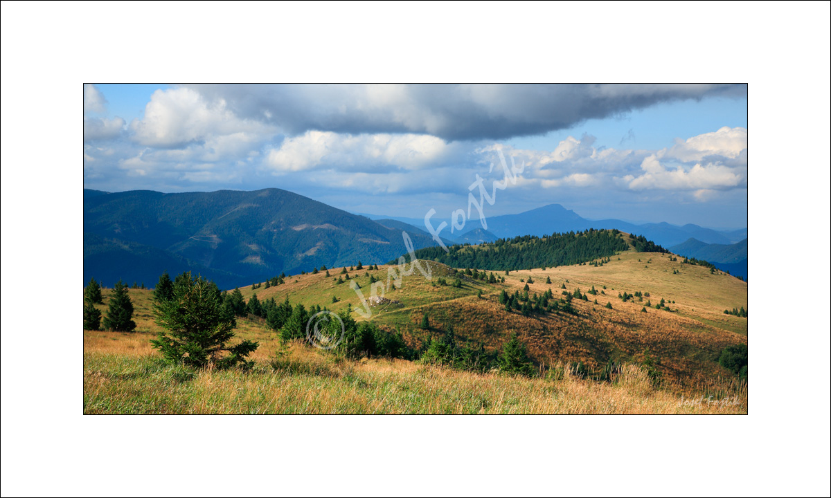 PSD0112957_PAN_2.jpg