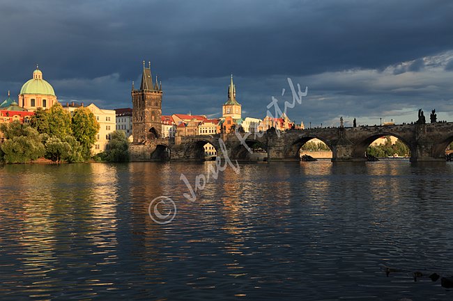 IMG0159382.tif