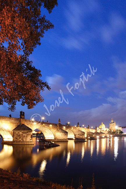 IMG0159726.tif