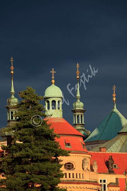 IMG0159352.tif