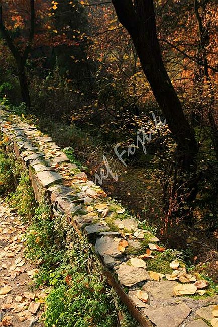IMG0070360.jpg