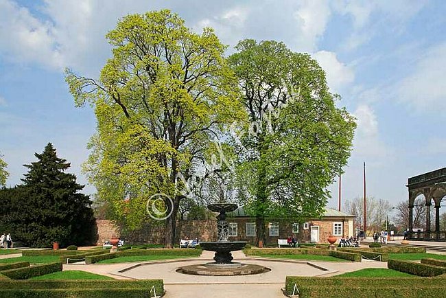 IMG0077771.jpg
