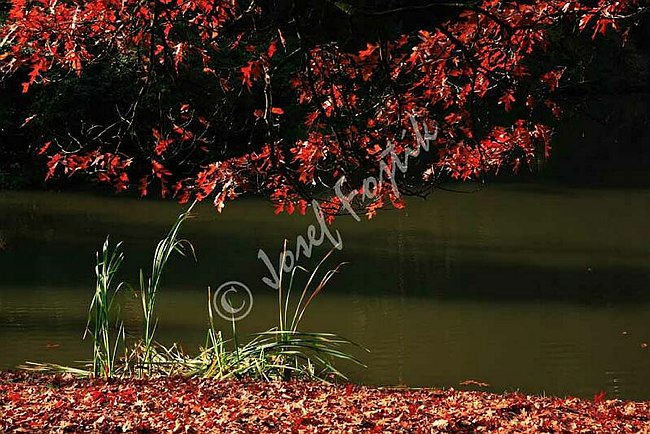 IMG0070408.jpg