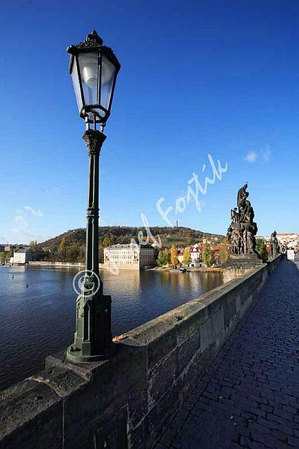 IMG0092450.jpg