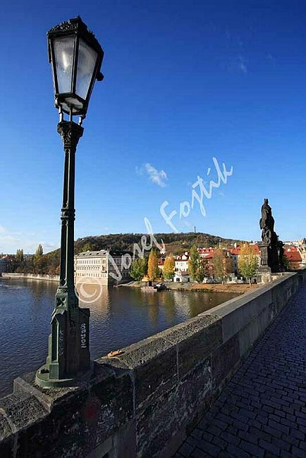 IMG0092458.jpg