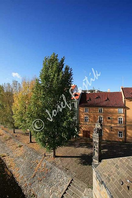 IMG0092471.jpg
