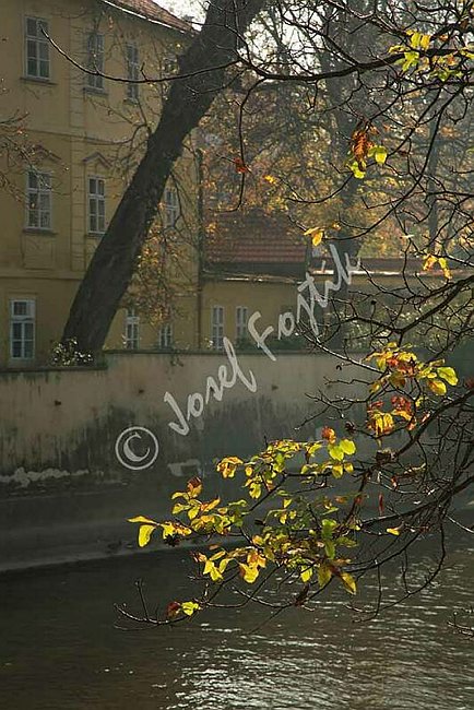 IMG0070568.jpg