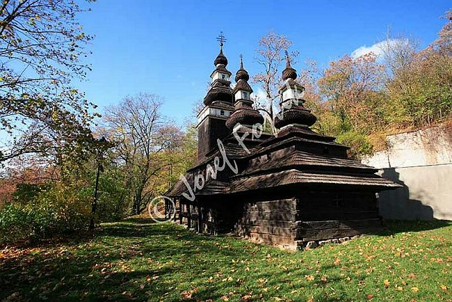 IMG0092637.jpg