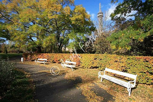 IMG0092677.jpg