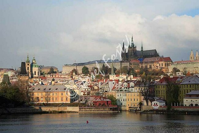 IMG0092766.jpg