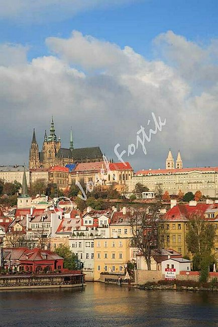 IMG0092781.jpg