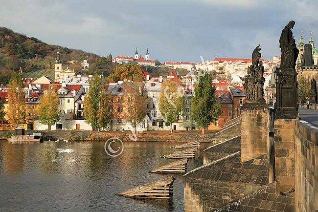 IMG0092815.jpg