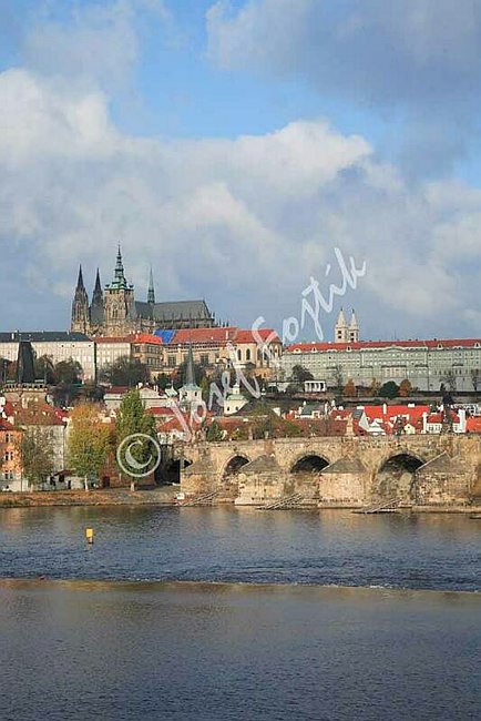 IMG0092899.jpg