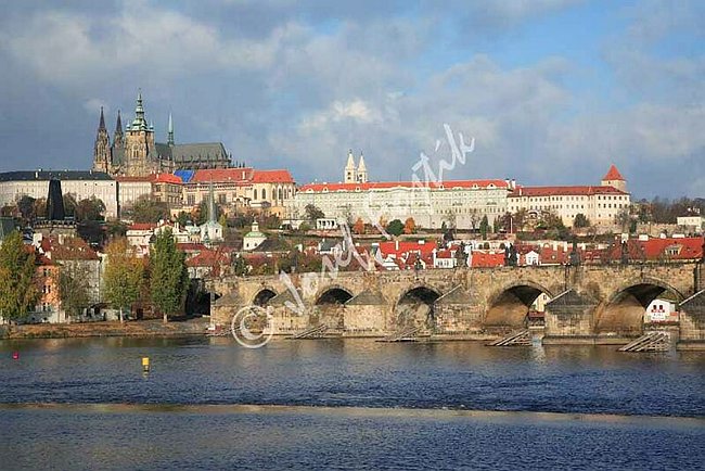 IMG0092916.jpg