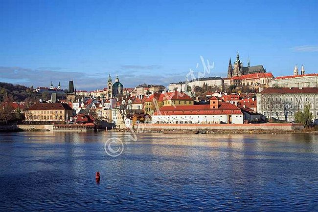 IMG0071006.jpg