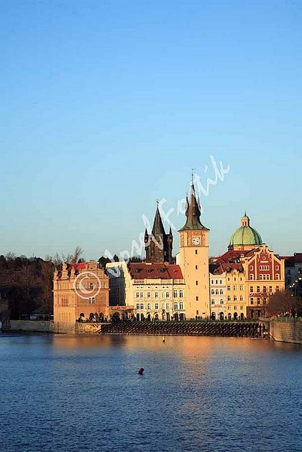 IMG0094982.jpg