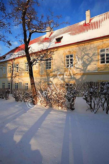 IMG0095225.jpg