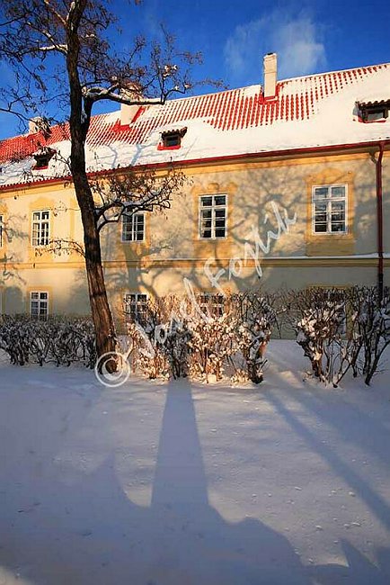 IMG0095238.jpg
