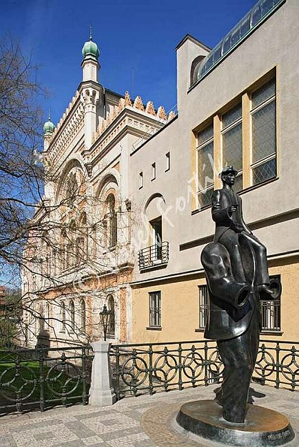 IMG0096942.jpg