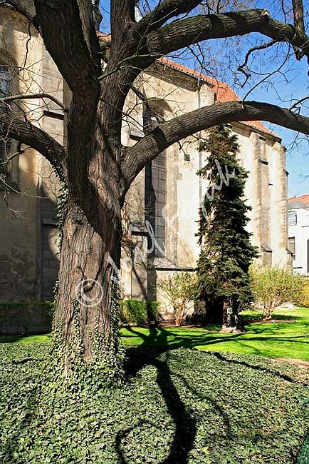 IMG0096967.jpg