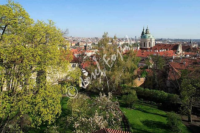 IMG0097468.jpg