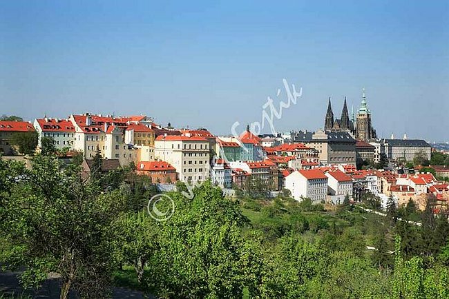 IMG0099426.jpg