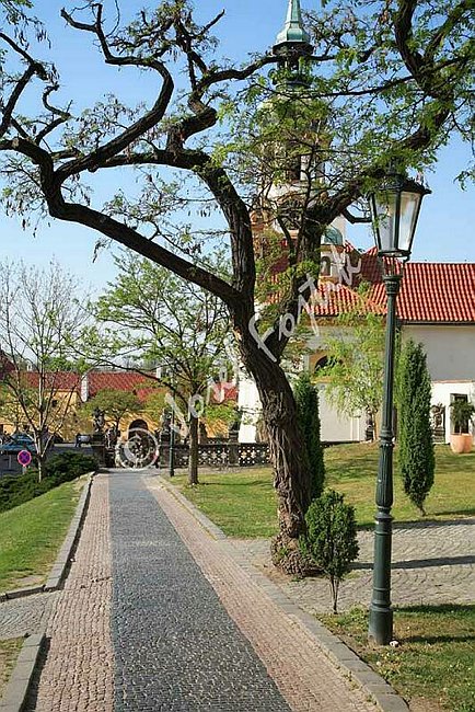 IMG0099490.jpg