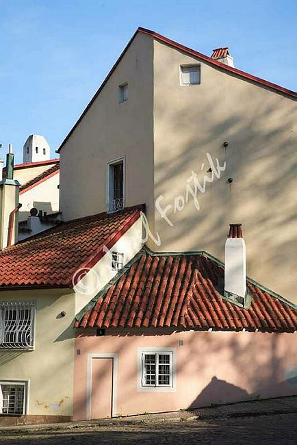IMG0099525.jpg