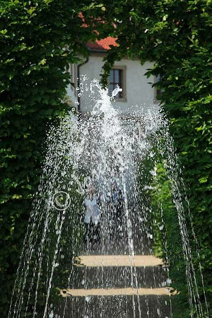 IMG0101371.jpg